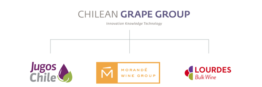 Chilean Grape Group