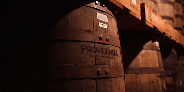 Providencia Co-Bulk Rum