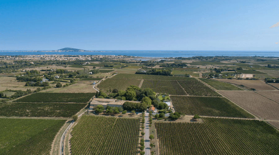 LGI Wines