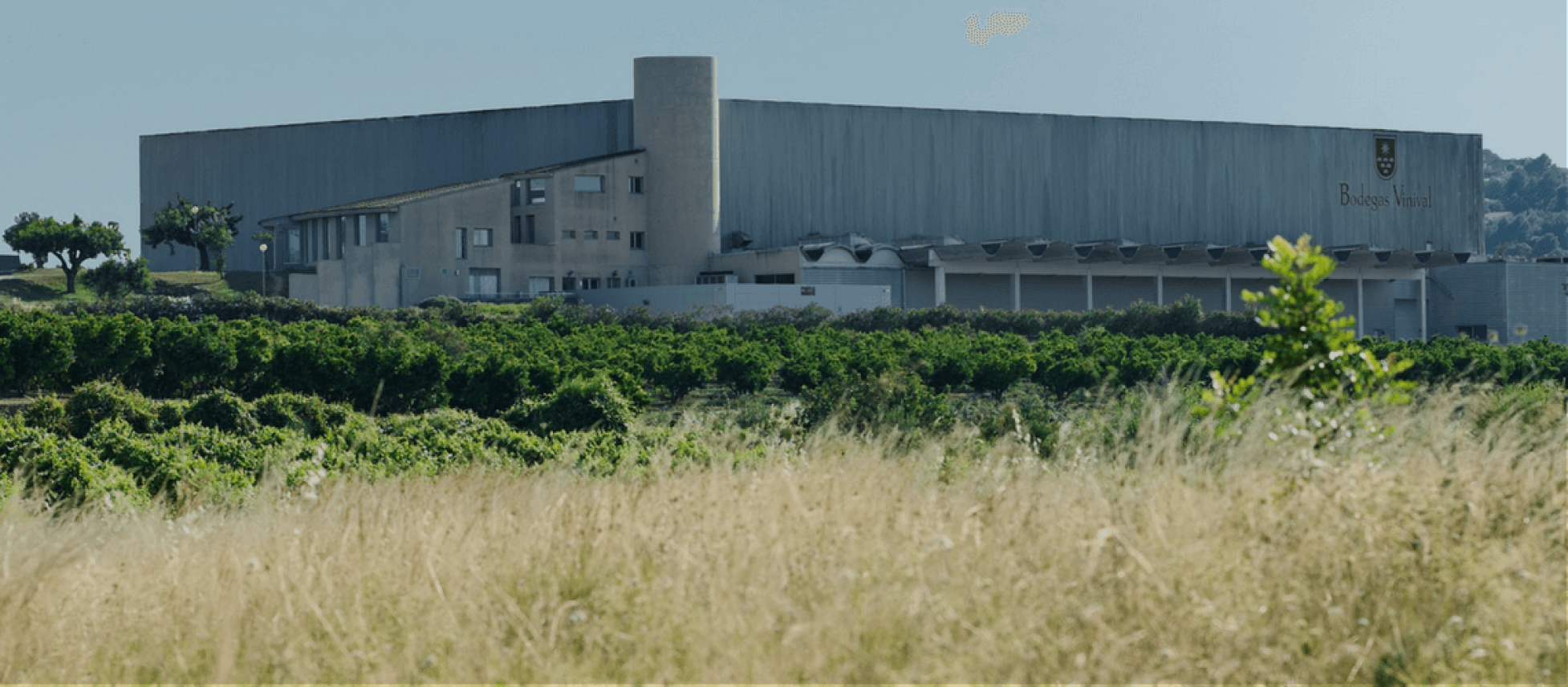 Photo for: BODEGAS VINIVAL: Producing Conventional & Organic Wines