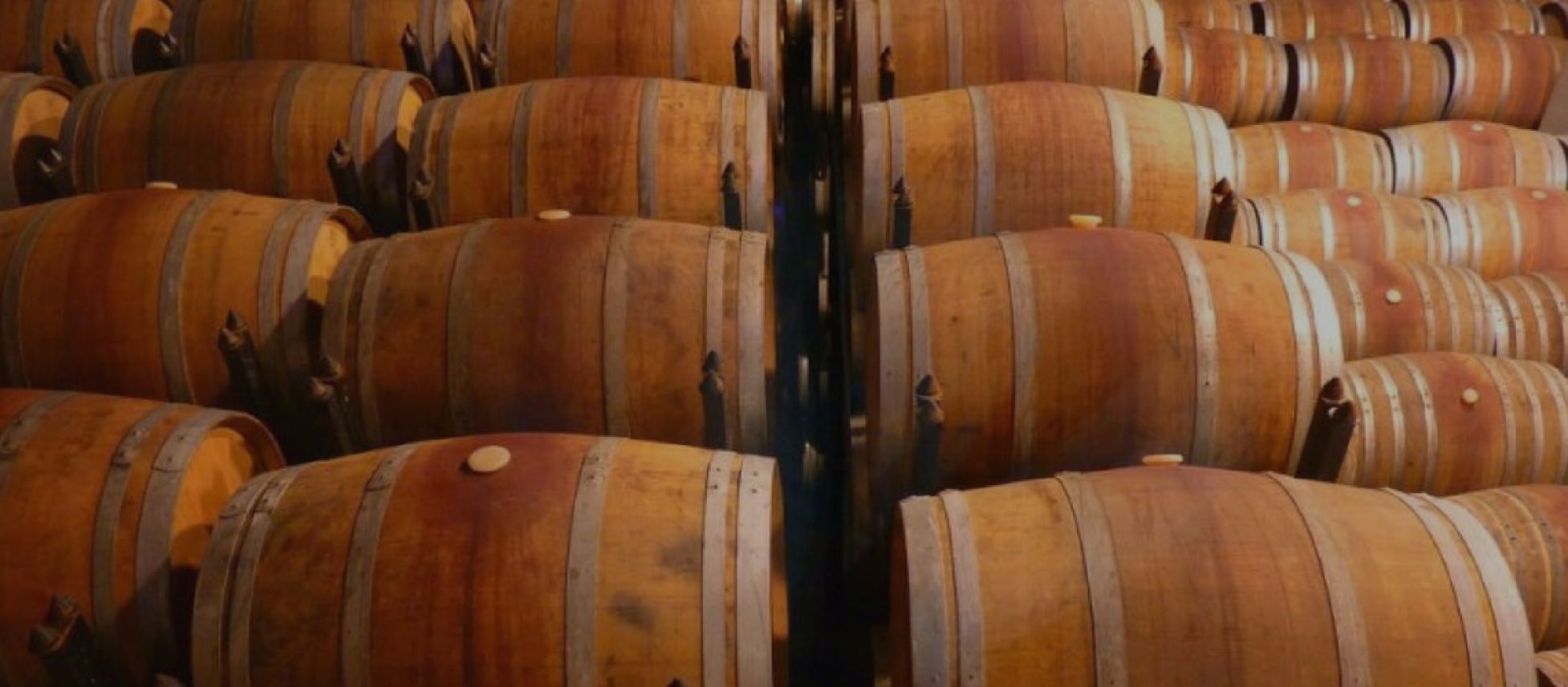 Photo for: List of Bulk Wine Suppliers in Chile, South America