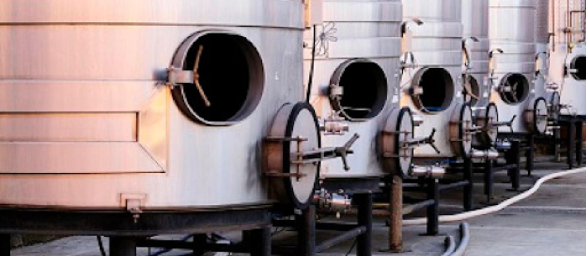 Photo for: Bulk Wine Buying & Selling Tips From Leading Bulk Players Of USA