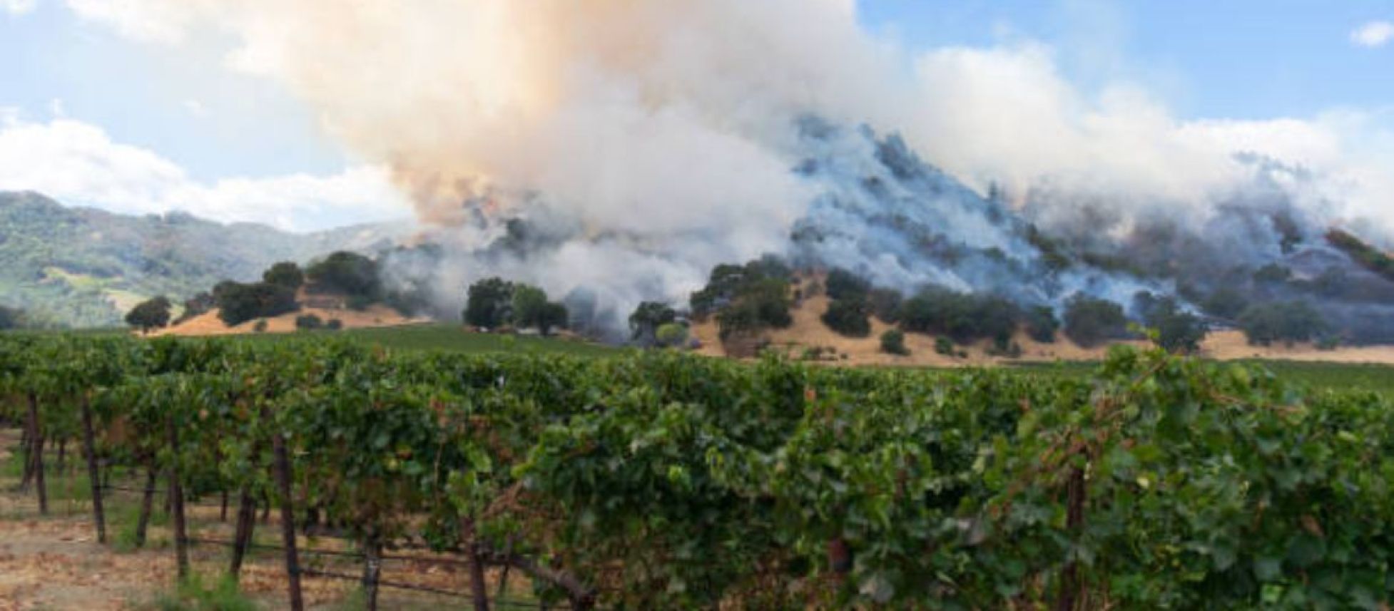 Photo for: Diving into the global wildfire crisis