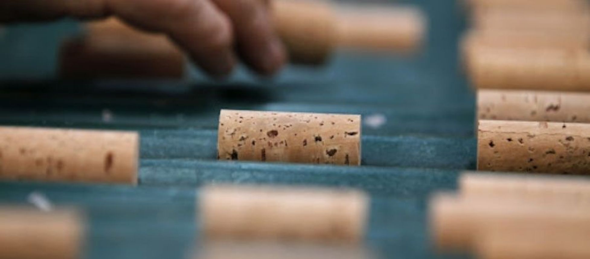 Photo for: The Future of the Wine Cork Industry!