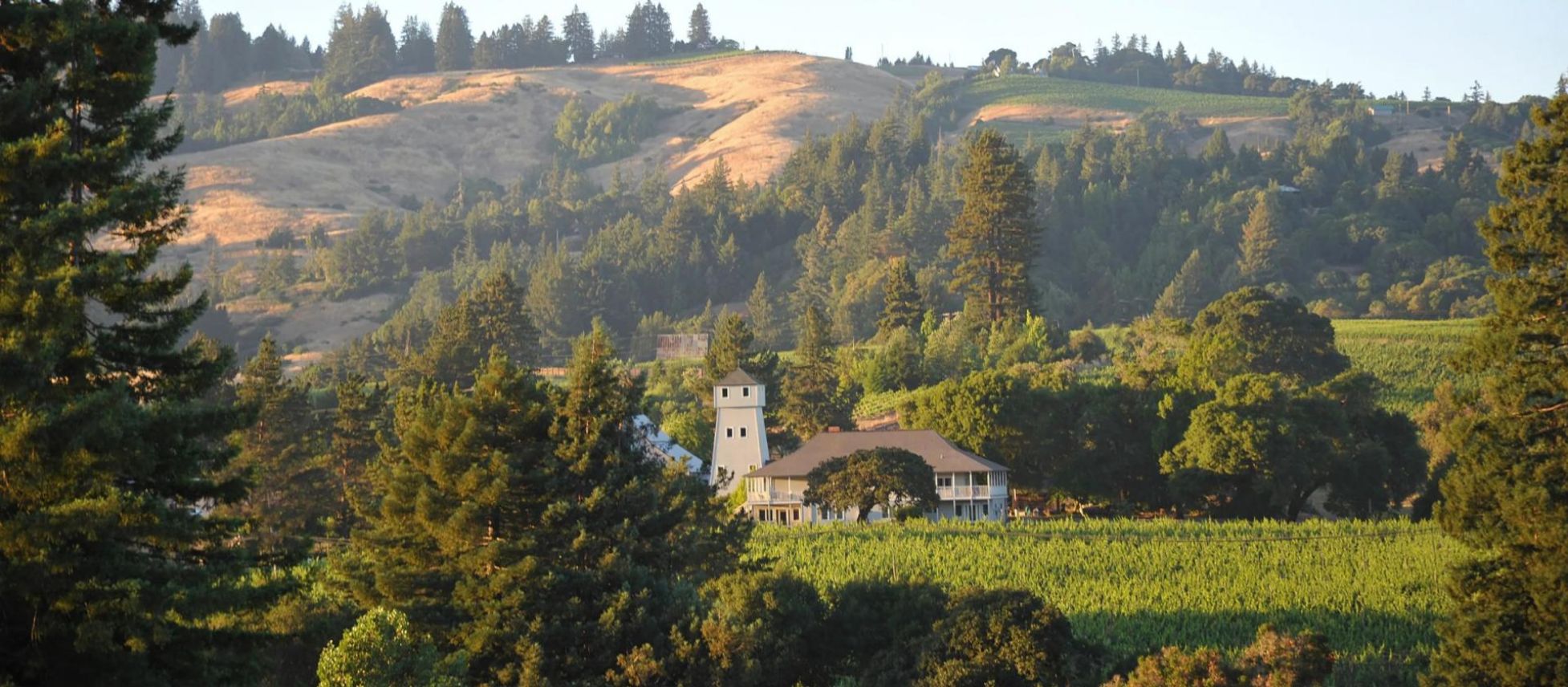 Photo for: Beyond the Label: How Mendocino’s Bulk Wines Shape California’s Finest Bottles