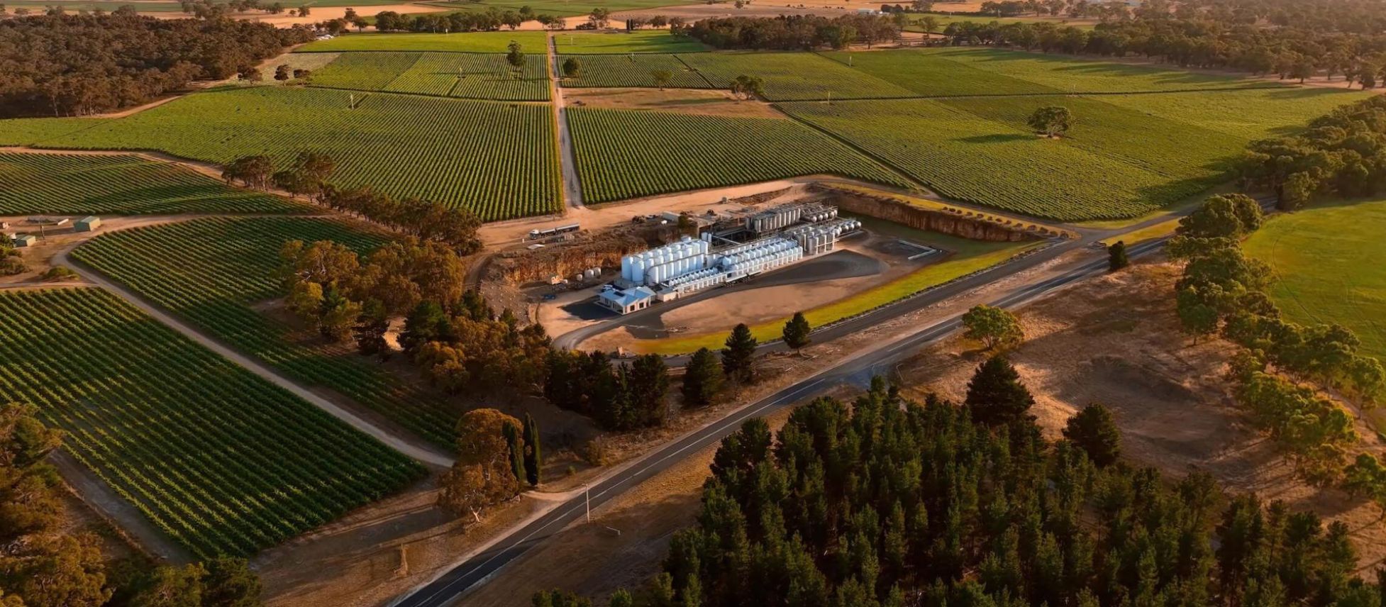 Photo for: LCW’s Approach to Bulk Wine: Quality, Adaptability, and Sustainability