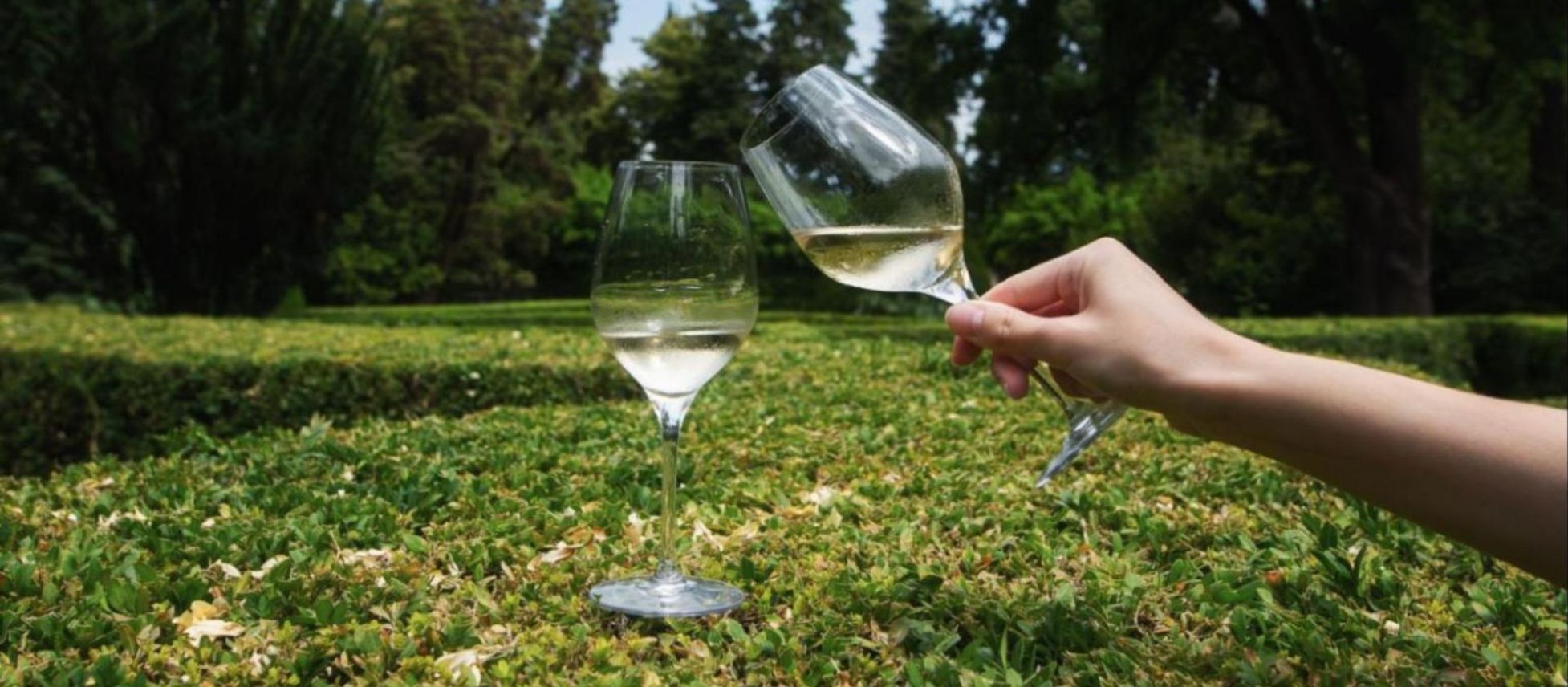 Photo for: Georgia: The Cradle of Winemaking