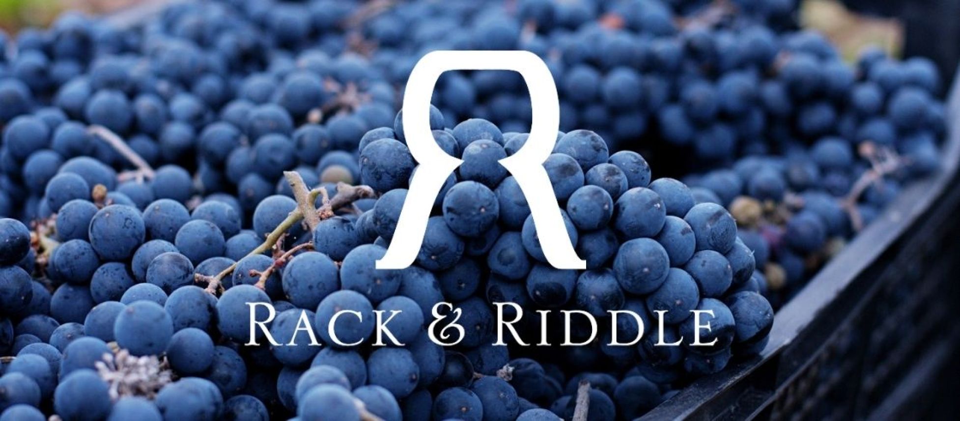 Photo for: Connect with Rack & Riddle Custom Wine Services at the International Bulk Wine & Spirits Show in San Francisco