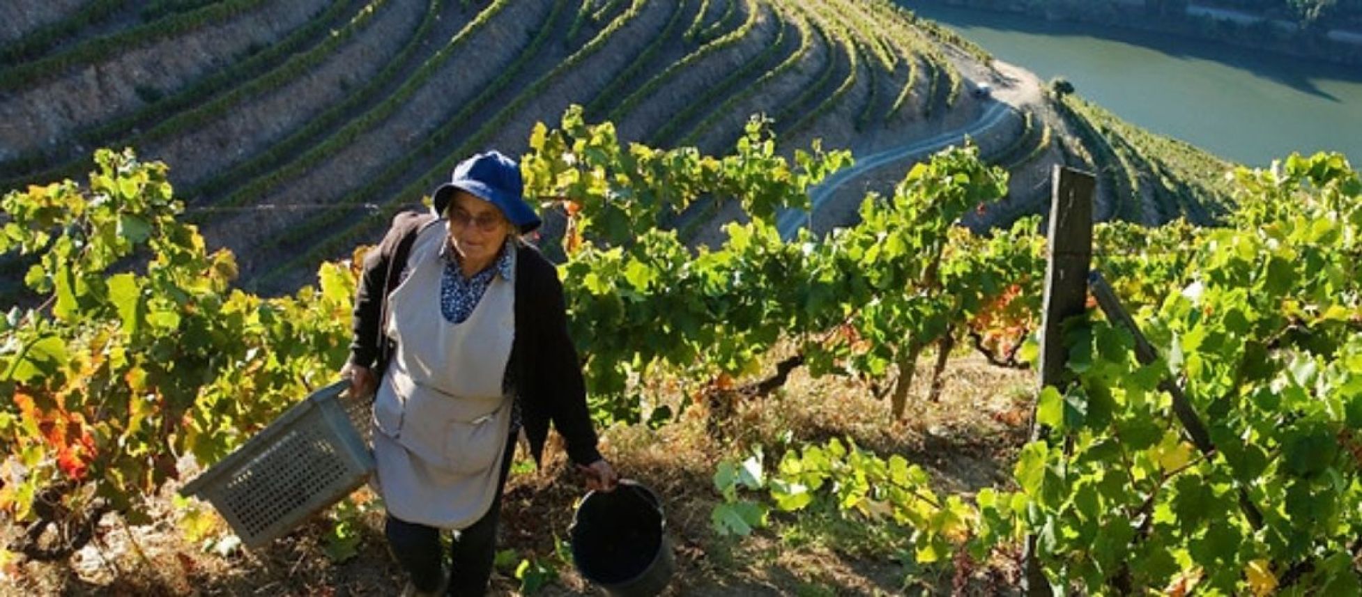 Photo for: Welner Wines is Coming to the International Bulk Wine & Spirits Show in San Francisco