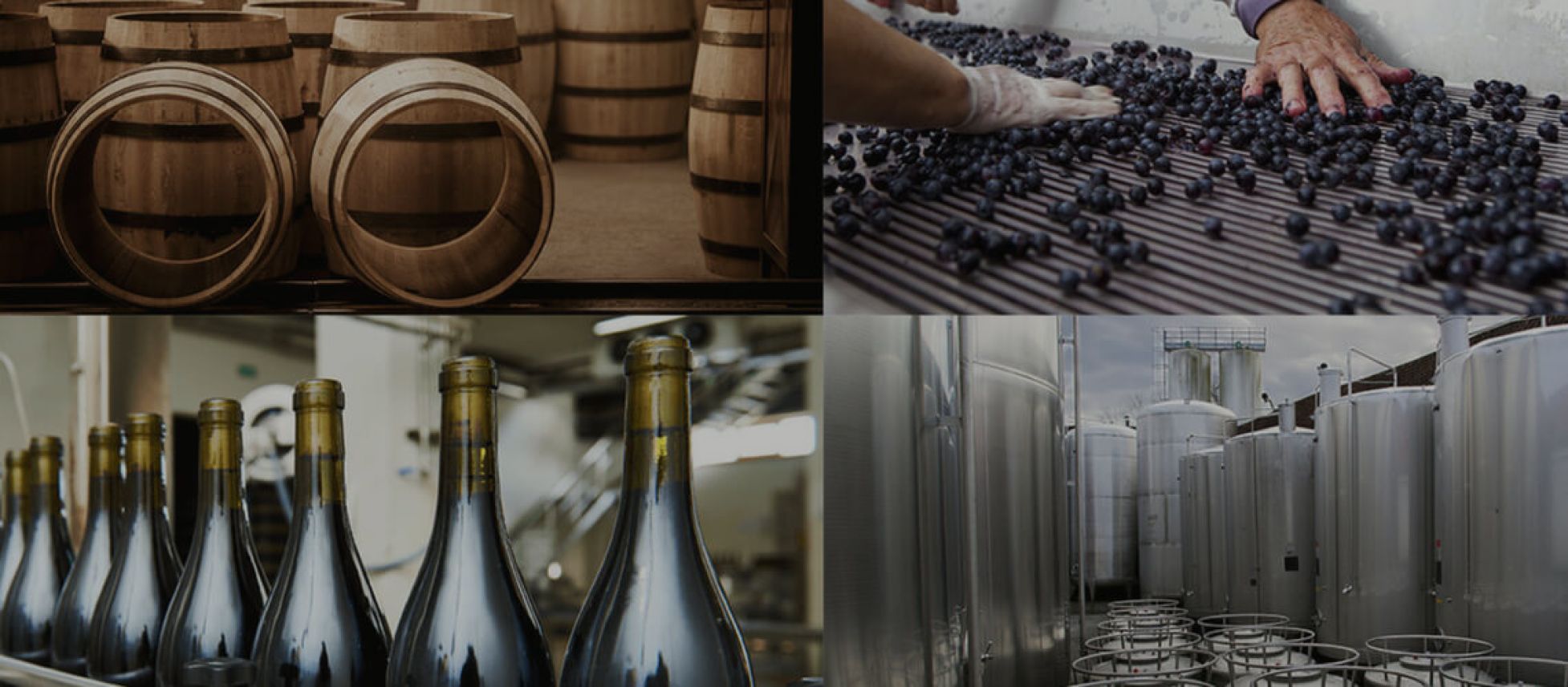 Photo for: Bulk Wine and Spirits, Really?