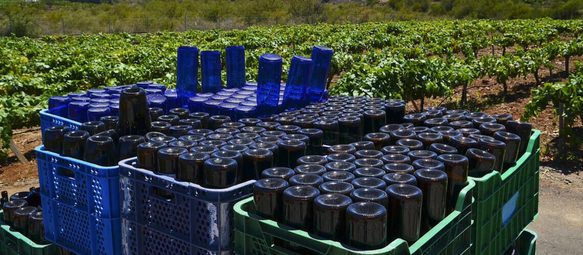 Photo for: 10 Factors to Consider when Selecting a Bulk Wine Supply Partner
