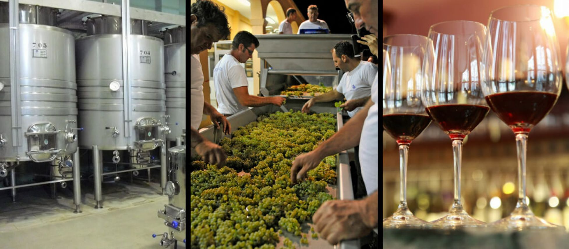 Photo for: What are the Federal requirements for 