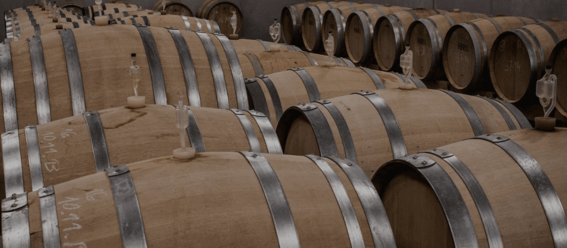 Photo for: List of Bulk Wine Suppliers of Argentina, South America