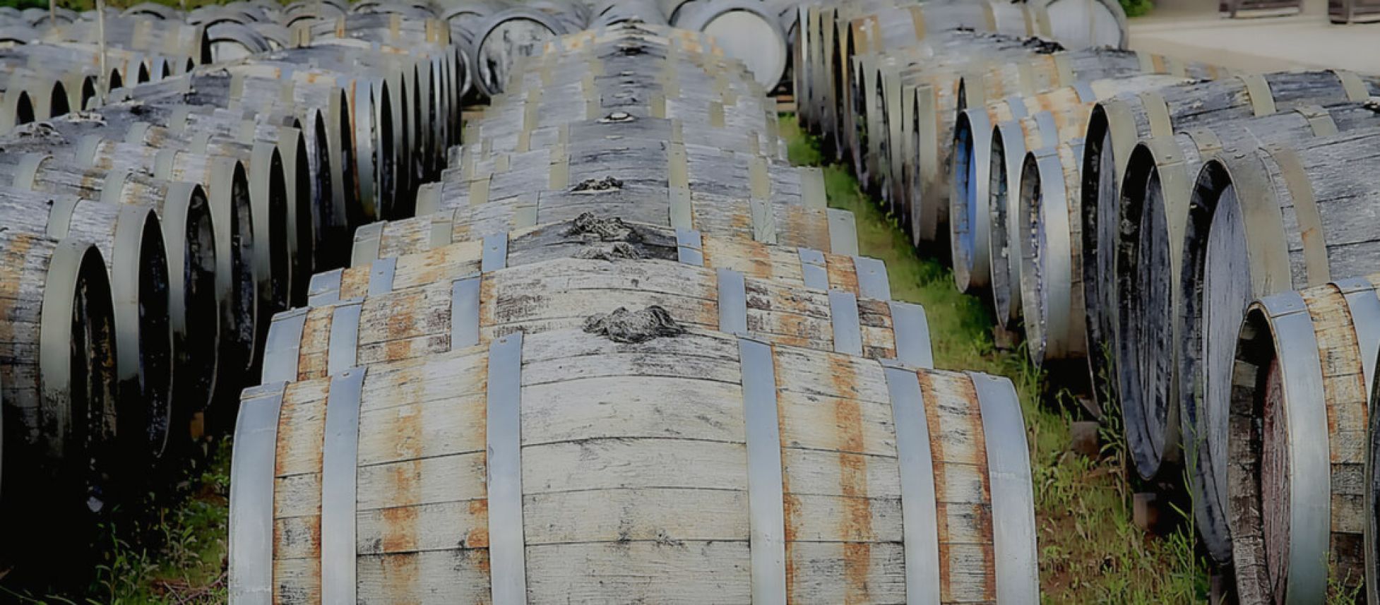 Photo for: Wine Importers in California, USA