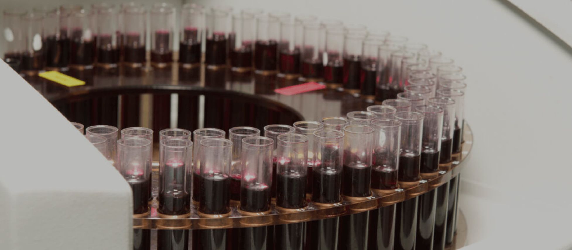 Photo for: Enartis - The Right Solution for Wine Importers & Makers