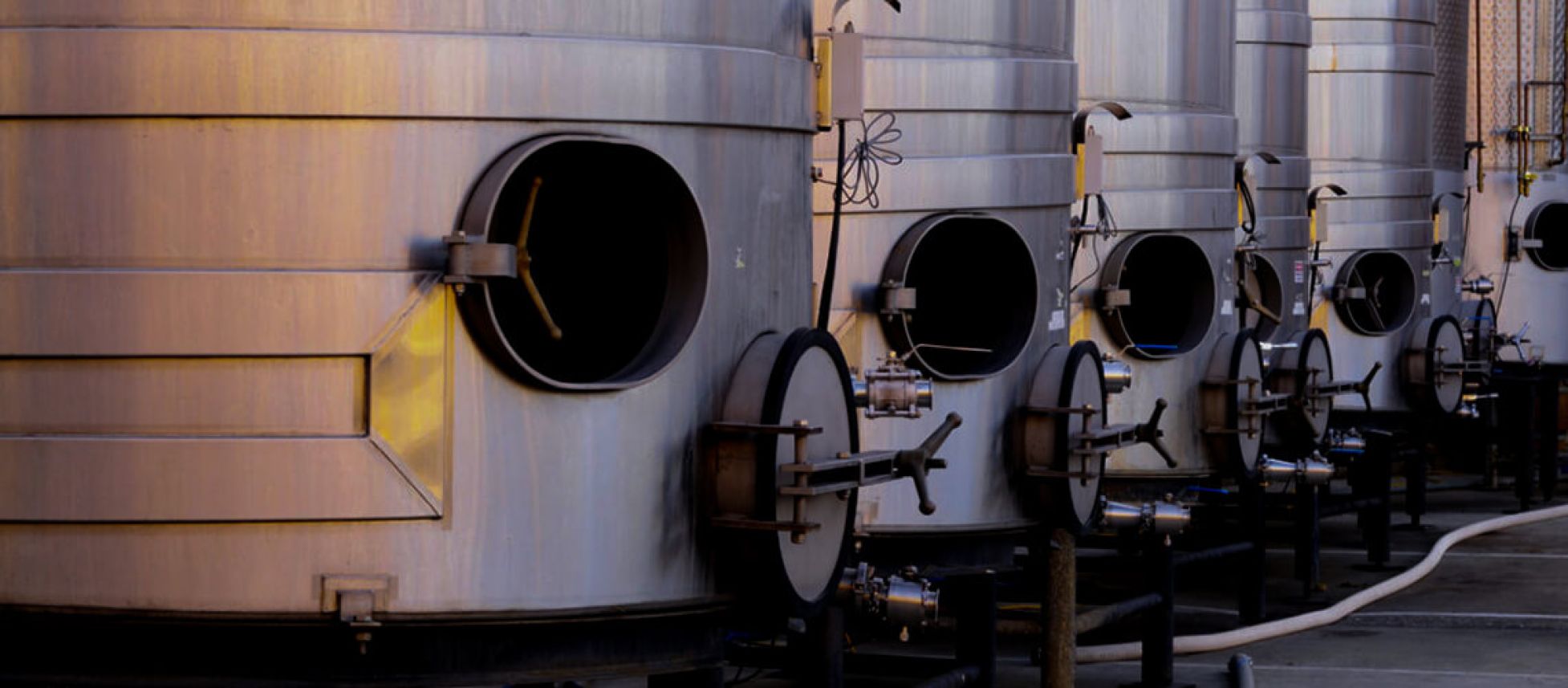 Photo for: From Plonk to Cult Wines, Myths About the Bulk Wine Industry Cleared
