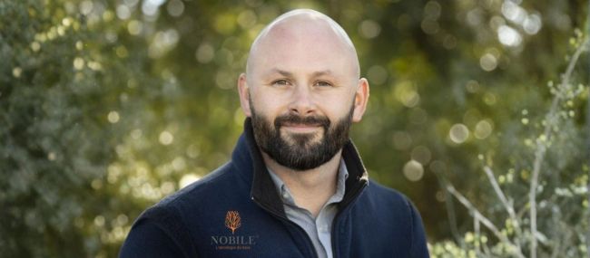 Photo for: Barrel Reduction Strategies: How Wineries Are Using Alternative Oak to Improve Their Economics