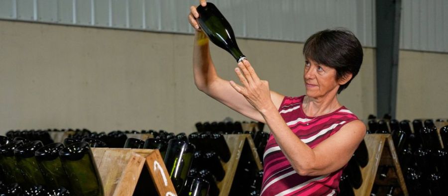 Photo for: Bulk Wine Industry Trends 2023