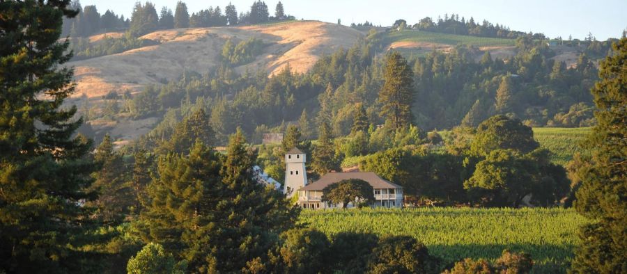 Photo for: Beyond the Label: How Mendocino’s Bulk Wines Shape California’s Finest Bottles