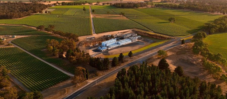 Photo for: LCW’s Approach to Bulk Wine: Quality, Adaptability, and Sustainability