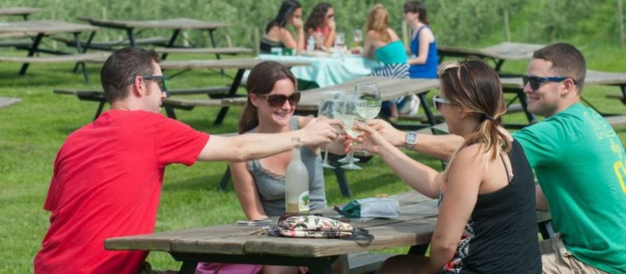 Photo for: Family Owned Wineries: The Significance behind the Hype