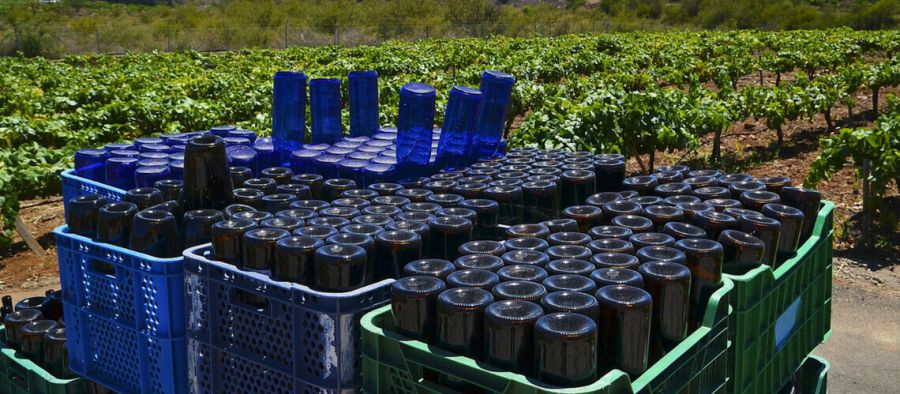 Photo for: 10 Factors to Consider when Selecting a Bulk Wine Supply Partner