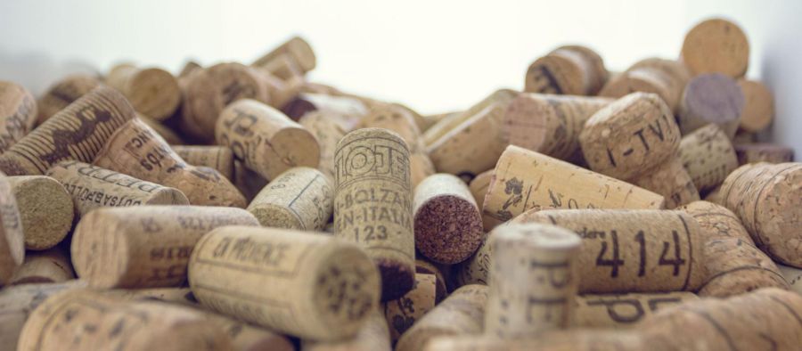 Photo for: The Future of the Wine Cork Industry!