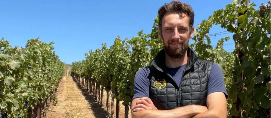 Photo for: Alex Remy on Creating Value in an Oversupplied Wine Market