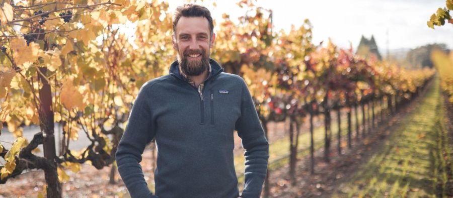 Photo for: Alex Remy on Creating Value in an Oversupplied Wine Market