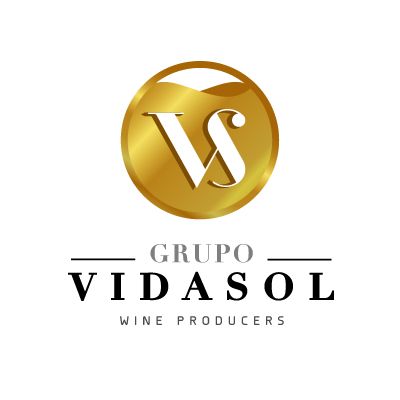 Logo for:  Vidasol Group