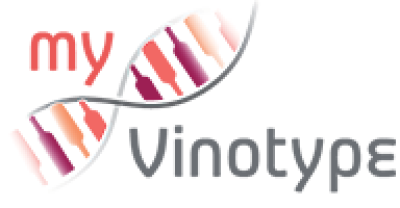 Logo for:  Tim Hanni MW